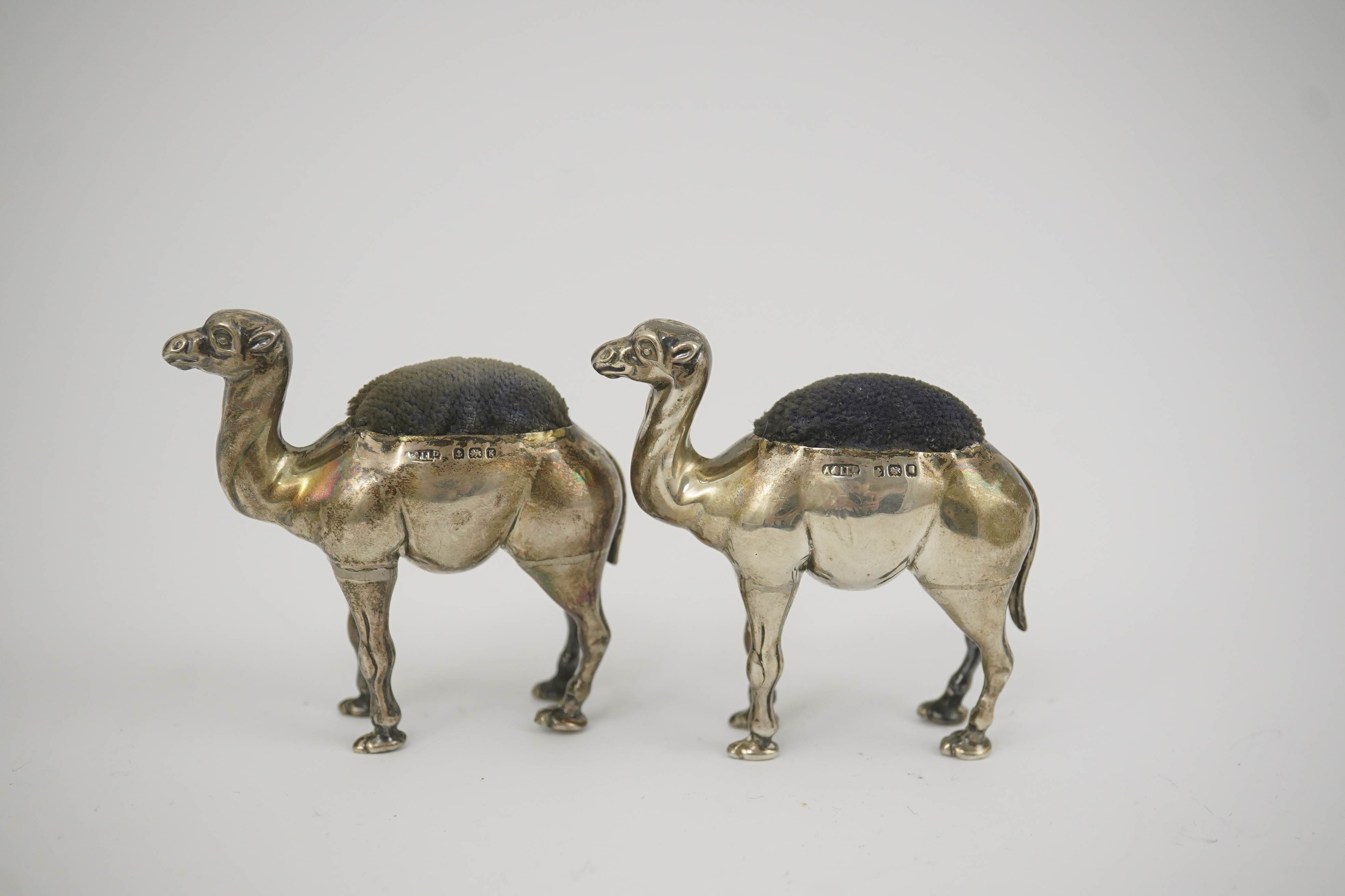 A pair of Edwardian novelty silver pin cushions, each modelled as a camel